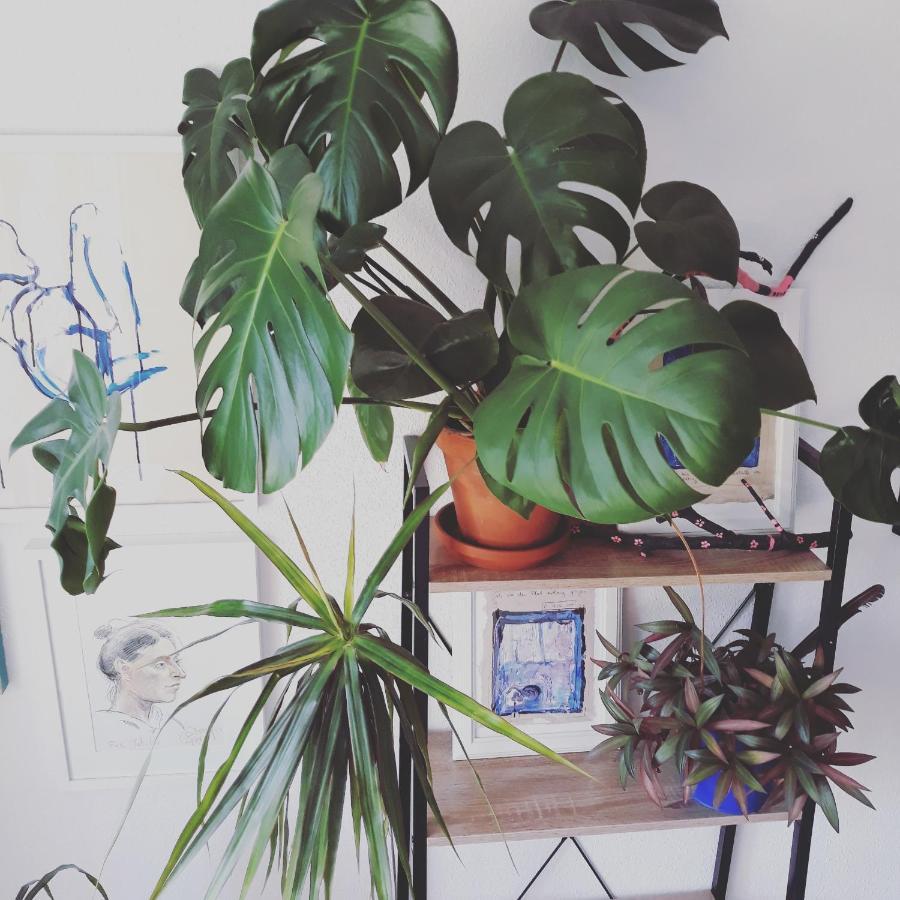 #Staywild29 - Gemuetliche Ferienwohnung Im Allgaeu كمبتن المظهر الخارجي الصورة