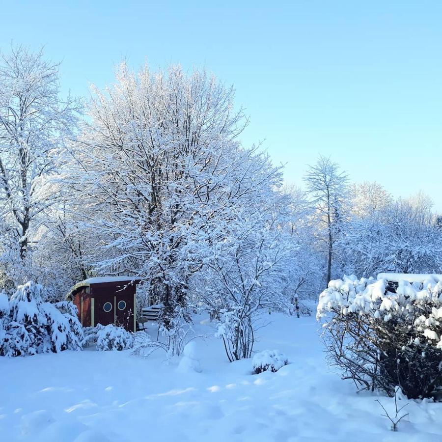 #Staywild29 - Gemuetliche Ferienwohnung Im Allgaeu كمبتن المظهر الخارجي الصورة